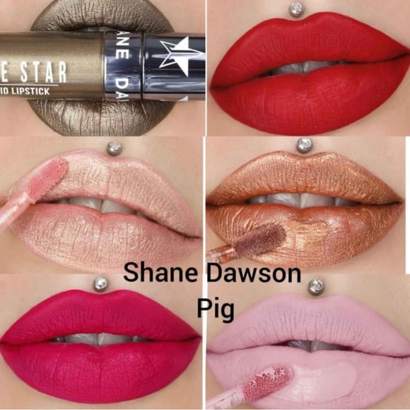Jeffree Star Shane X Shane Velour
Liquid Lipstick Pig Bundle - NEW - Picture 6 of 7